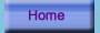 Home Button